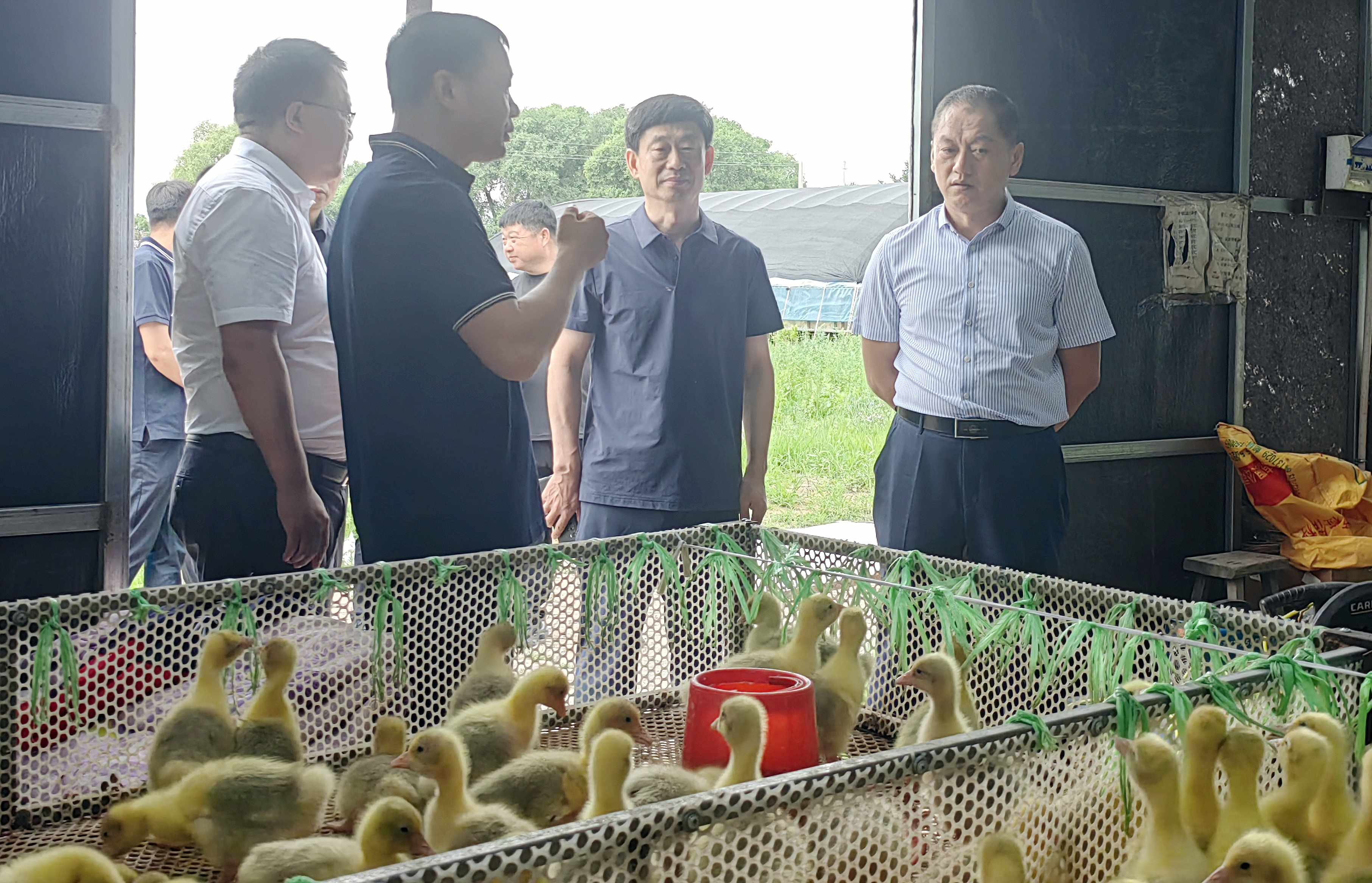 美狮贵宾会311342·(中国区)官方网站